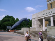 National Museum of Nature and Science